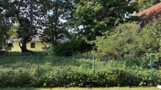 Franzi 5 - Prerow - 3