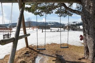 Rinderplatz - Villandro - 4