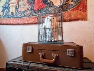 La maison sur demande - Cuers - 6