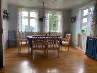 Stort hus på Fen i Ulefoss i rolige omgivelser - Ulefoss - 9