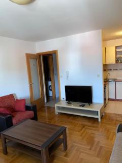 Filip apartment - Podgorica - 0