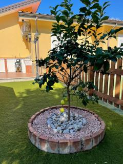 Villa Karillos - Marina di Camerota - 9