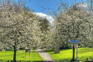 Rowan Cottage Lanchester-Escape Beyond Holiday Lets - 5