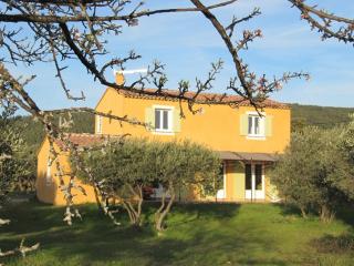 Superbe villa entourée d'oliviers proche du village d'Aups - FR-1-822-7 - Aups - 0