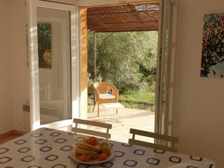 Superbe villa entourée d'oliviers proche du village d'Aups - FR-1-822-7 - Aups - 7