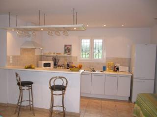 Superbe villa entourée d'oliviers proche du village d'Aups - FR-1-822-7 - 2