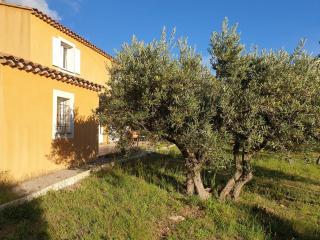 Superbe villa entourée d'oliviers proche du village d'Aups - FR-1-822-7 - Aups - 1