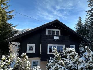 CHALET Sophie & Max in Bad Gastein - 8