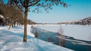 Komfortable Ferienwohnung Mit Seeblick - 9
