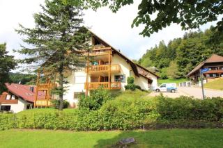 Ihre Gemütliche Oase Im Herzen Des Schwarzwaldes - Todtmoos - 0