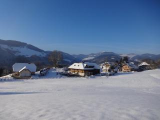 Haus Rümmele - Ferienwohnung 2 - Fröhnd - 1
