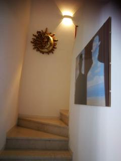 Ciliegio - Rosolina - 1