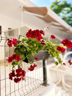 Guest House Julia - Stavros - 1