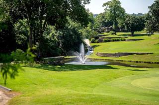 Ace in the Ozarks - Branson - 7