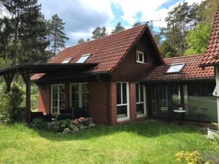 Waldoase 2 - Rheinsberg - 5