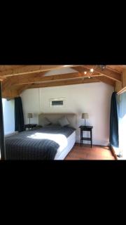 Waldoase 2 - Rheinsberg - 3