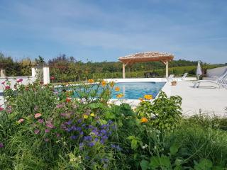 CHATEAU de POTIRON - Capian - 0