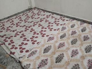 Krisha's homestays - Varanasi - 0