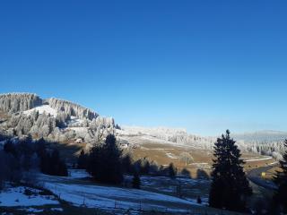 Kopf Frei auf 1000 Meter - Feldberg - 8