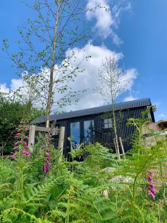 The Deerstone Luxury Eco Hideaway - 1