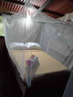 Casa Guayaba Lodge - Nuquí - 2
