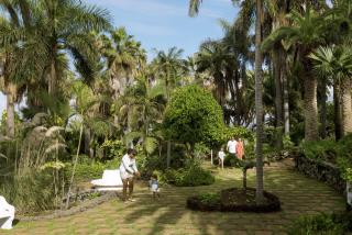 Studio 1509 im Precise Resort Tenerife - 3