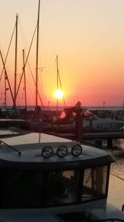 Seestern - Glowe - 2