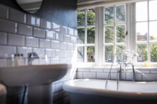 The Swan Inn - Midhurst - 1
