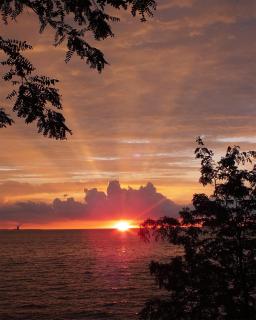 Island Club #113 - Put-in-Bay - 7