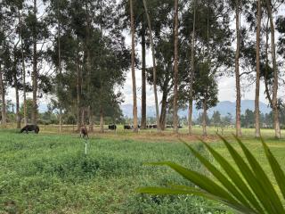 Alojamiento en Cajamarca Cabañas a 10 min del centro - Cajamarca - 2