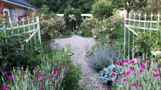 Urlaubsoase und Meehr - Hage - 3