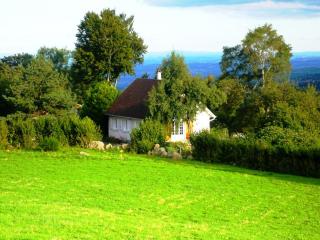 Gite la fougère vue sur la campagne - Verrières-en-Forez - 7