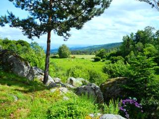 Gite la fougère vue sur la campagne - 4
