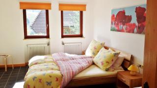 Bühlhof Todtnauberg Gästehaus Wohnung 4 - Todtnauberg - 6