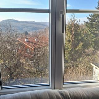 Apartment in country house - 9