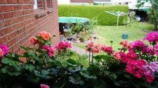 Pension Limone Ferienwohnung 1 - 1