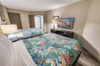 Remodeled Direct Oceanfront, Amazing Views Modern! - Myrtle Beach - 1