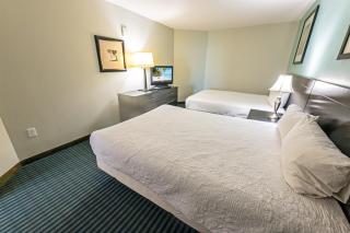 Modern Decor Stunning Ocean Front Views, Jet Tub! - Myrtle Beach - 3