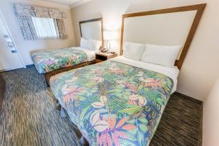 Nice Oceanfront 1BR with Heated Pools, Coral Beach - Myrtle Beach - 6