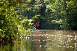 Ferienhaus 4 Prs - 1