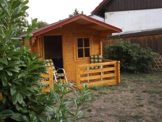 Harzblick - 1