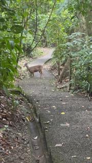 Yireth Studio - Quepos - 0
