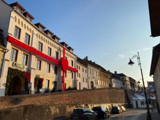 Amedeea's Apartment - Sibiu - 3