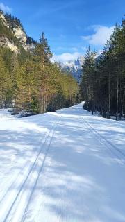 Appartaments Lavaredo - 8