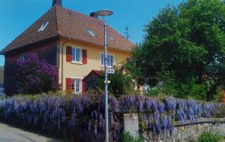 Haus Oskar - Görwihl - 0
