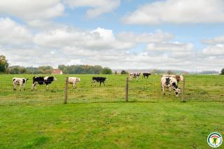 Le gite du village - 3