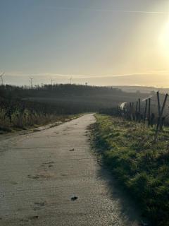 Klein aber fein - Eibelstadt - 6