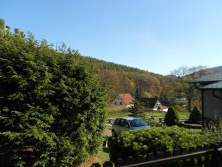 Ferienhaus Köllner - Fischbach - 2