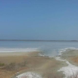 Ciudad Flamingo, Morrocoy chichiriviche, Tucacas 8 - Chichiriviche - 8