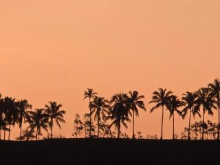 Prédio novo e bem perto da praia - Maragogi - 4